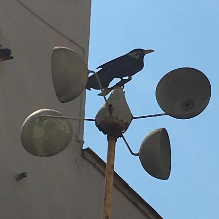 Casa Giada Nel Cuore Di Firenze Dış mekan fotoğraf